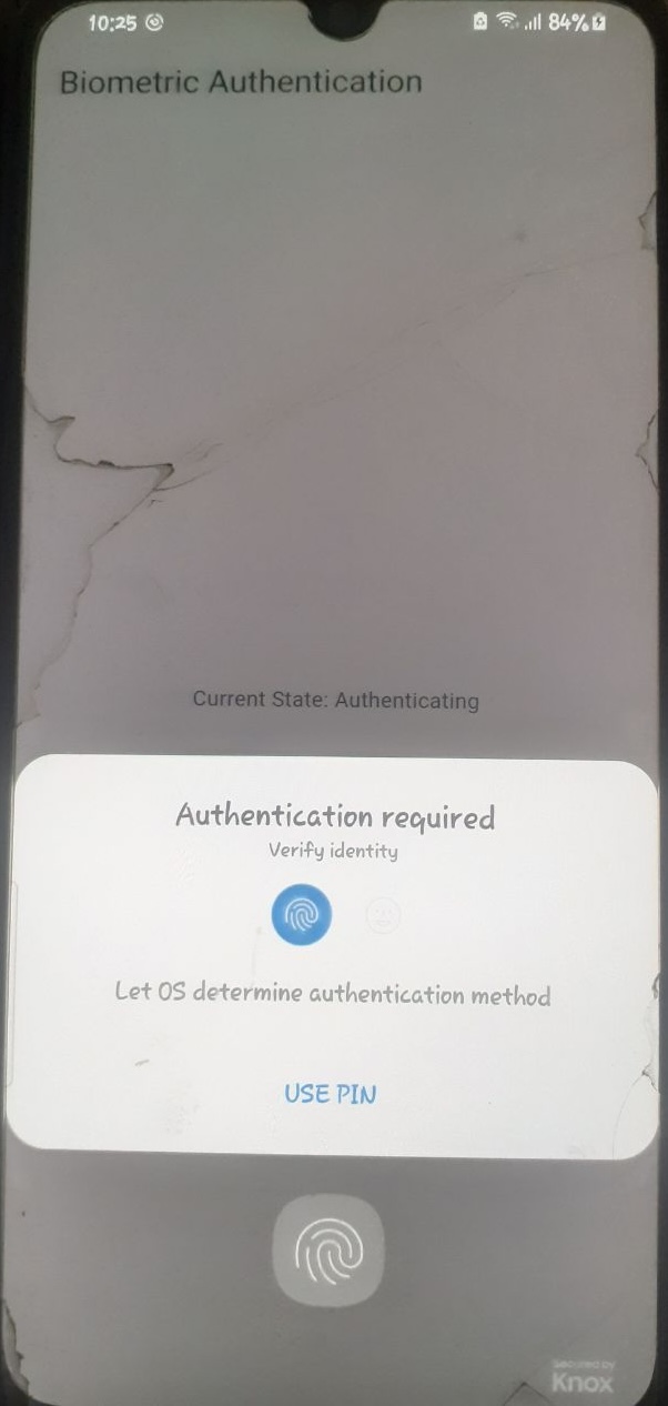 Screenshot of the app