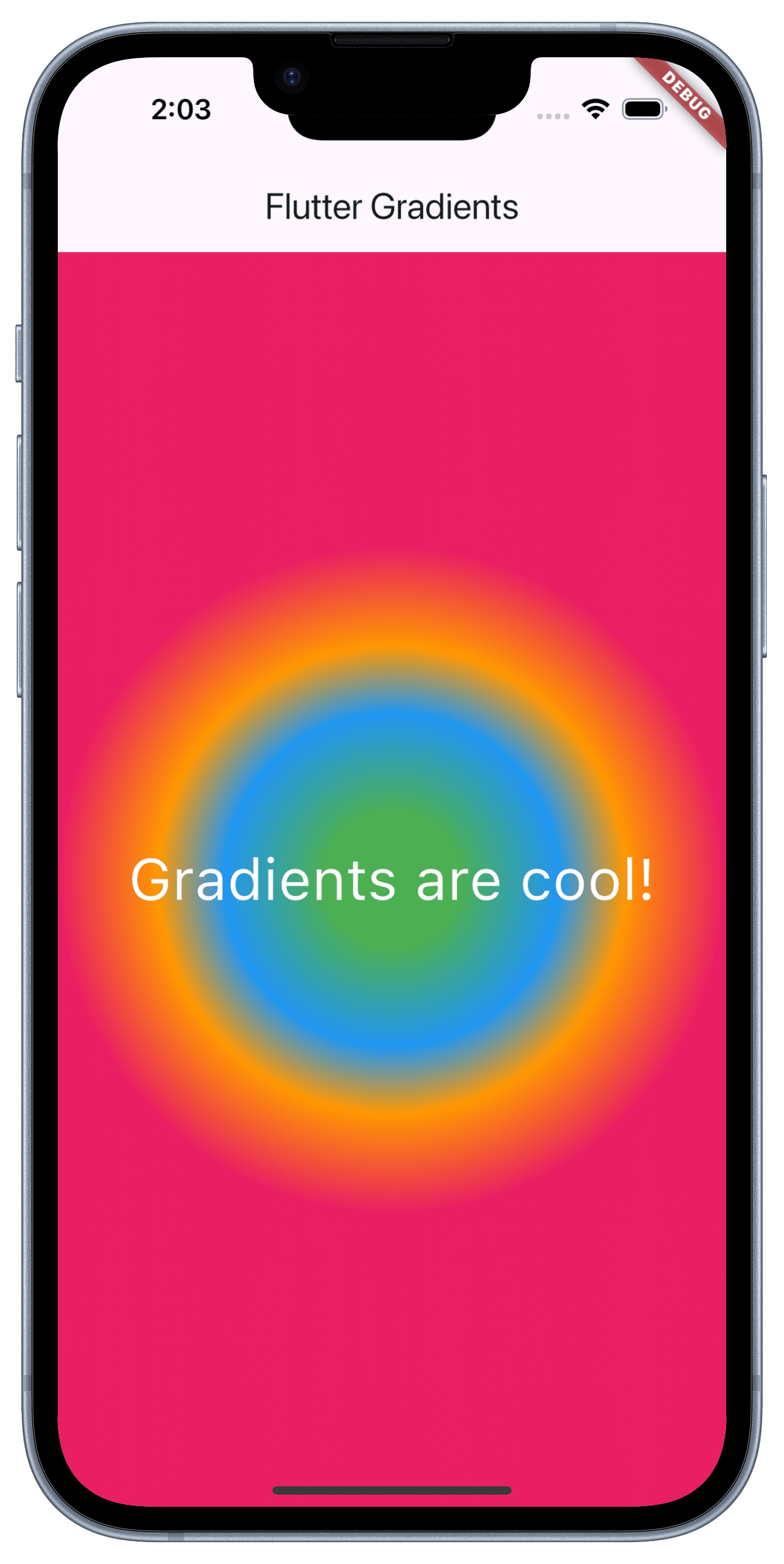 Screenshot of the app