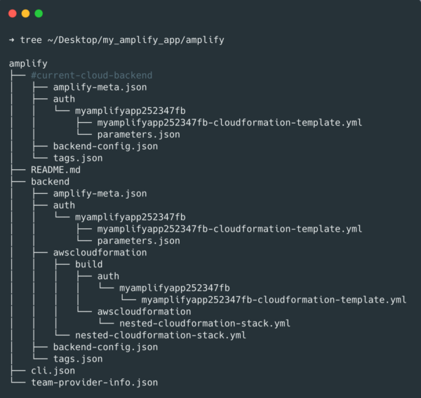 Flutter AWS Amplify tools