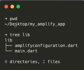 Flutter AWS Amplify tools