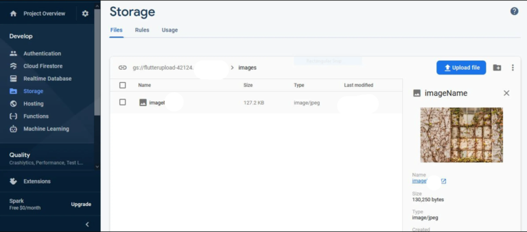 Firebase Storage in the Firebase Console